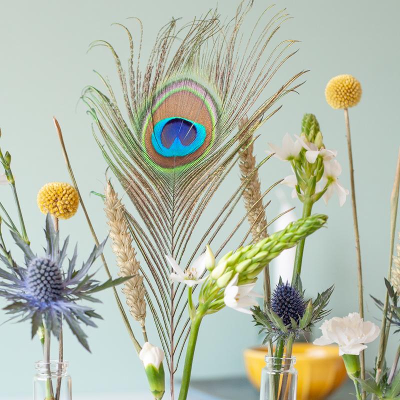 Droogbloemen