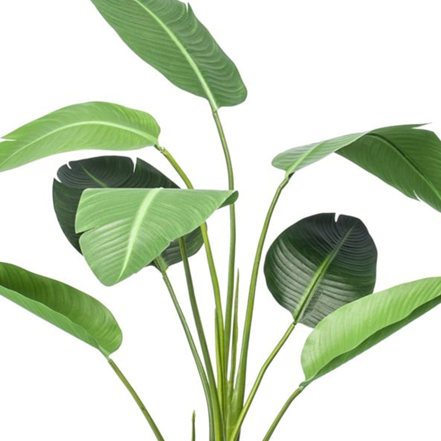 Kunstplanten